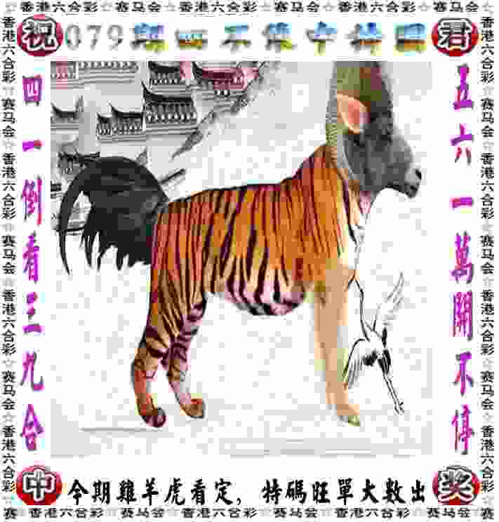 全国游泳冠军赛：潘展乐收获第五金 汪顺夺冠
